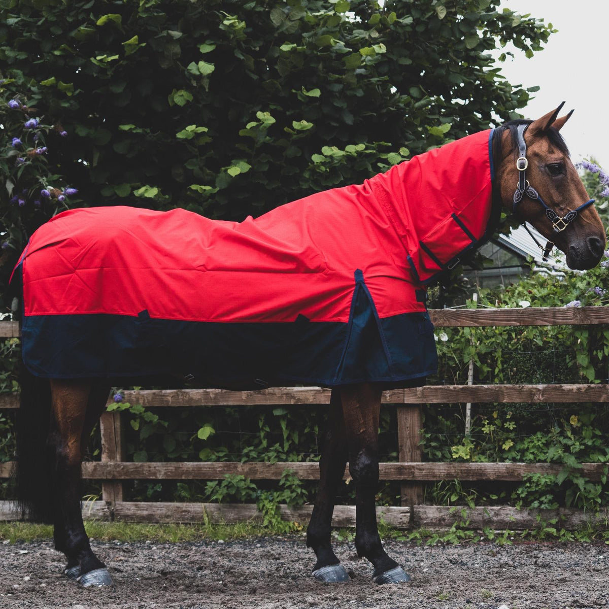 1200D Mediumweight Waterproof Horse Turnout Rug 50g Fill Combo Full Neck Red/Navy