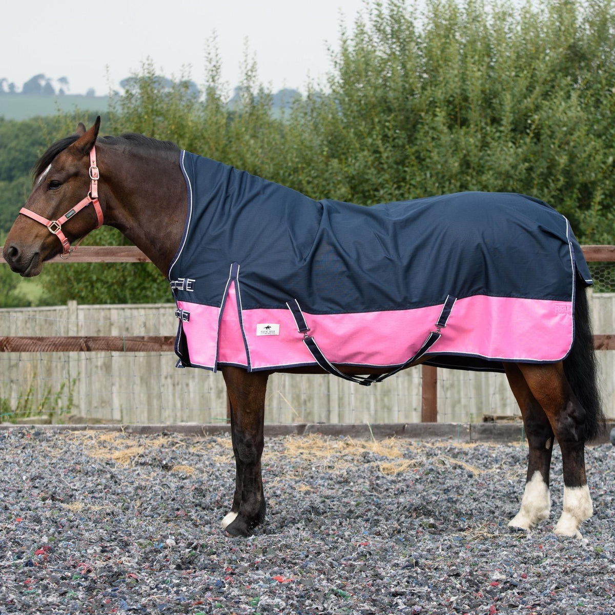 1200D Mediumweight Waterproof Horse Turnout Rug 100g Fill Half Neck Navy/Pink