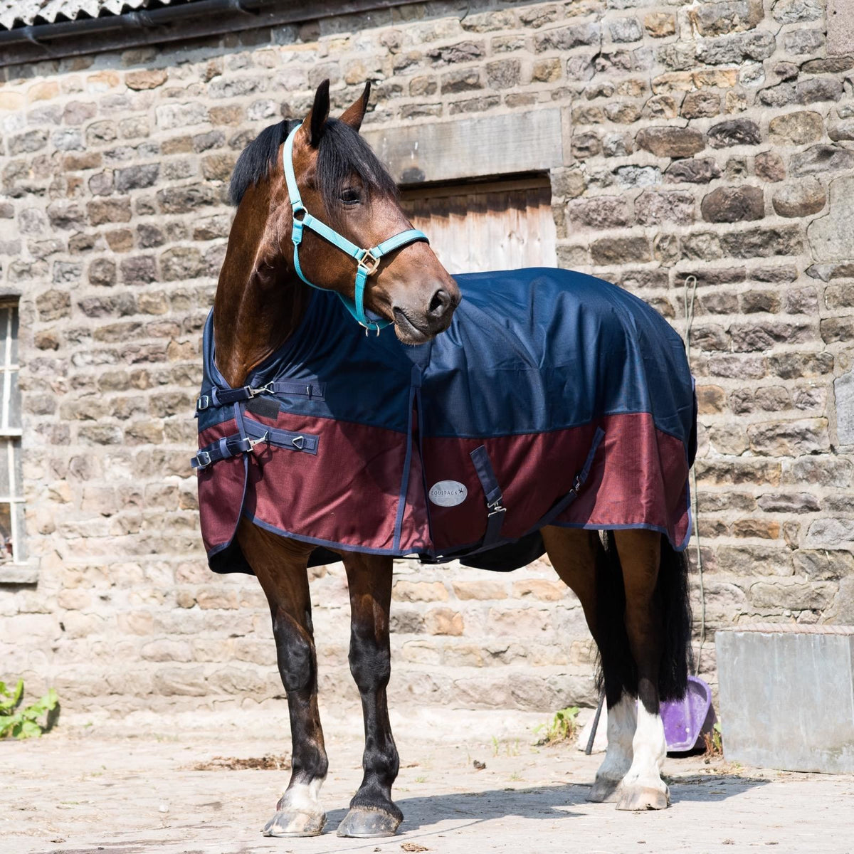 1200D Leichte Wasserdichte Pferdedecke 0g Ungefüttert Half Neck Navy/Burgundy