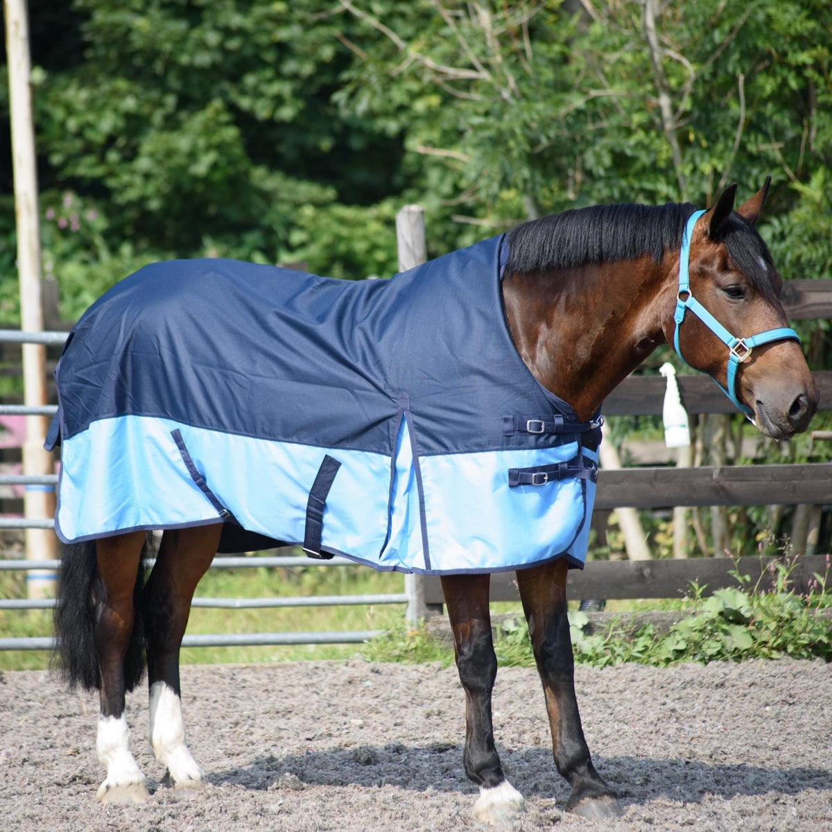 600D Leichte wasserdichte Pferde-Outdoordecke, 0g ohne Füllung, Half Neck, Navy/Babyblau