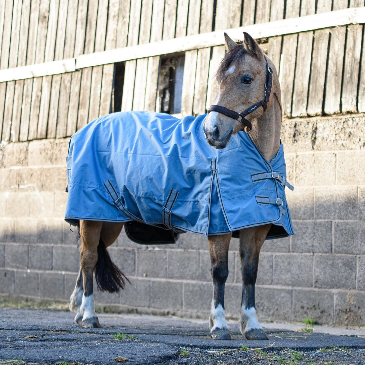 600D Lightweight Waterproof Horse Turnout Rug 0g No Fill Half Neck Dark Plum