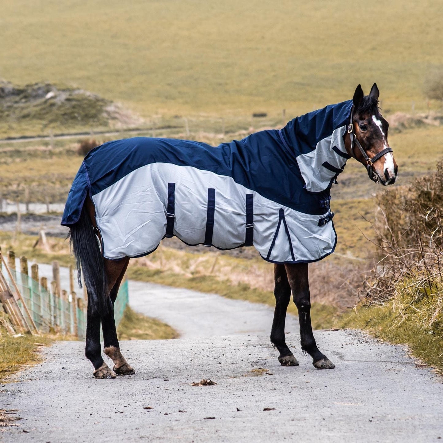 600D 2 in 1 Lightweight Waterproof Fly Turnout Mesh Horse Rug Fixed Neck Navy/Silver