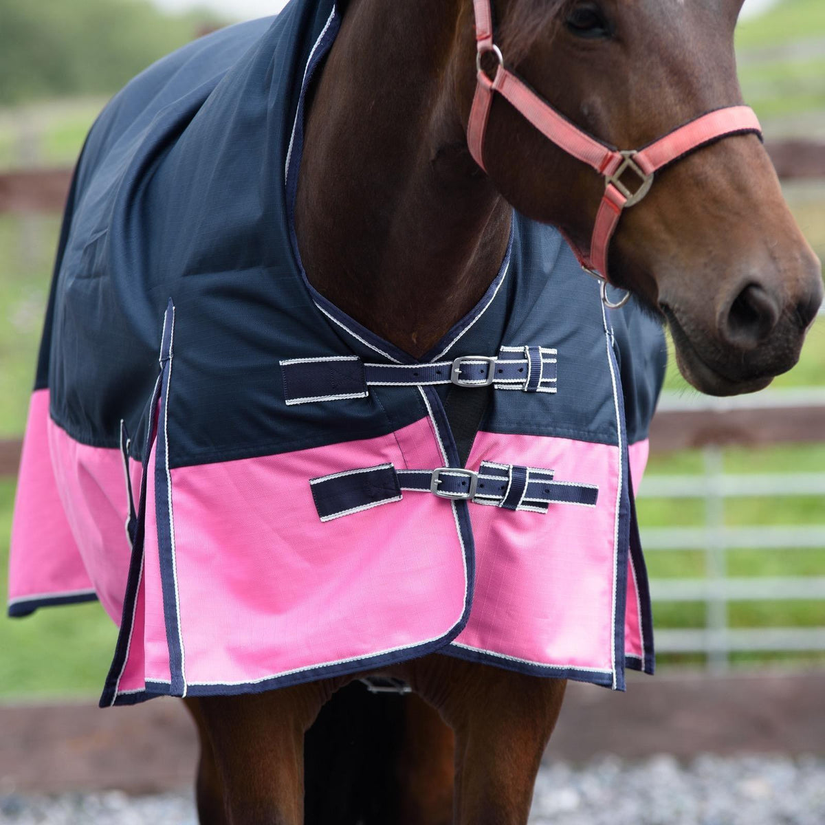 1200D Mediumweight Waterproof Horse Turnout Rug 100g Fill Half Neck Navy/Pink
