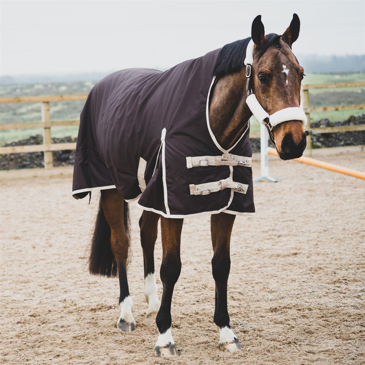 600D Mediumweight Waterproof Horse Turnout Rug 100g Fill Half Neck Brown