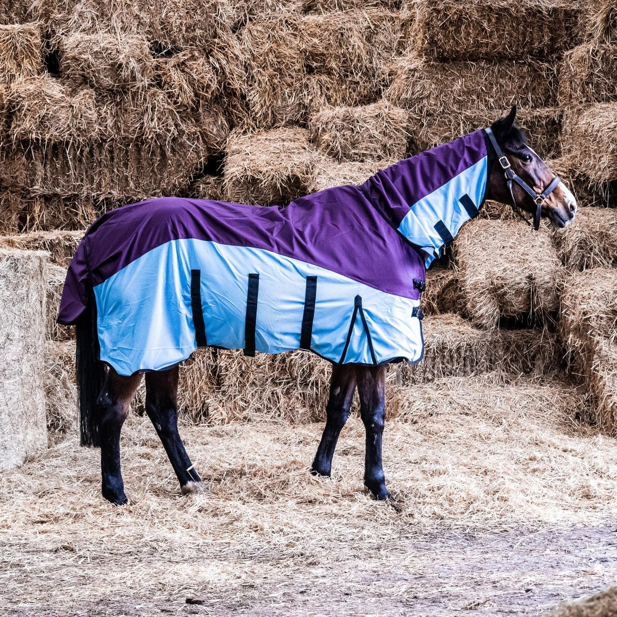 600D 2 in 1 Lightweight Waterproof Fly Turnout Mesh Horse Rug Fixed Neck Burgundy/Blue