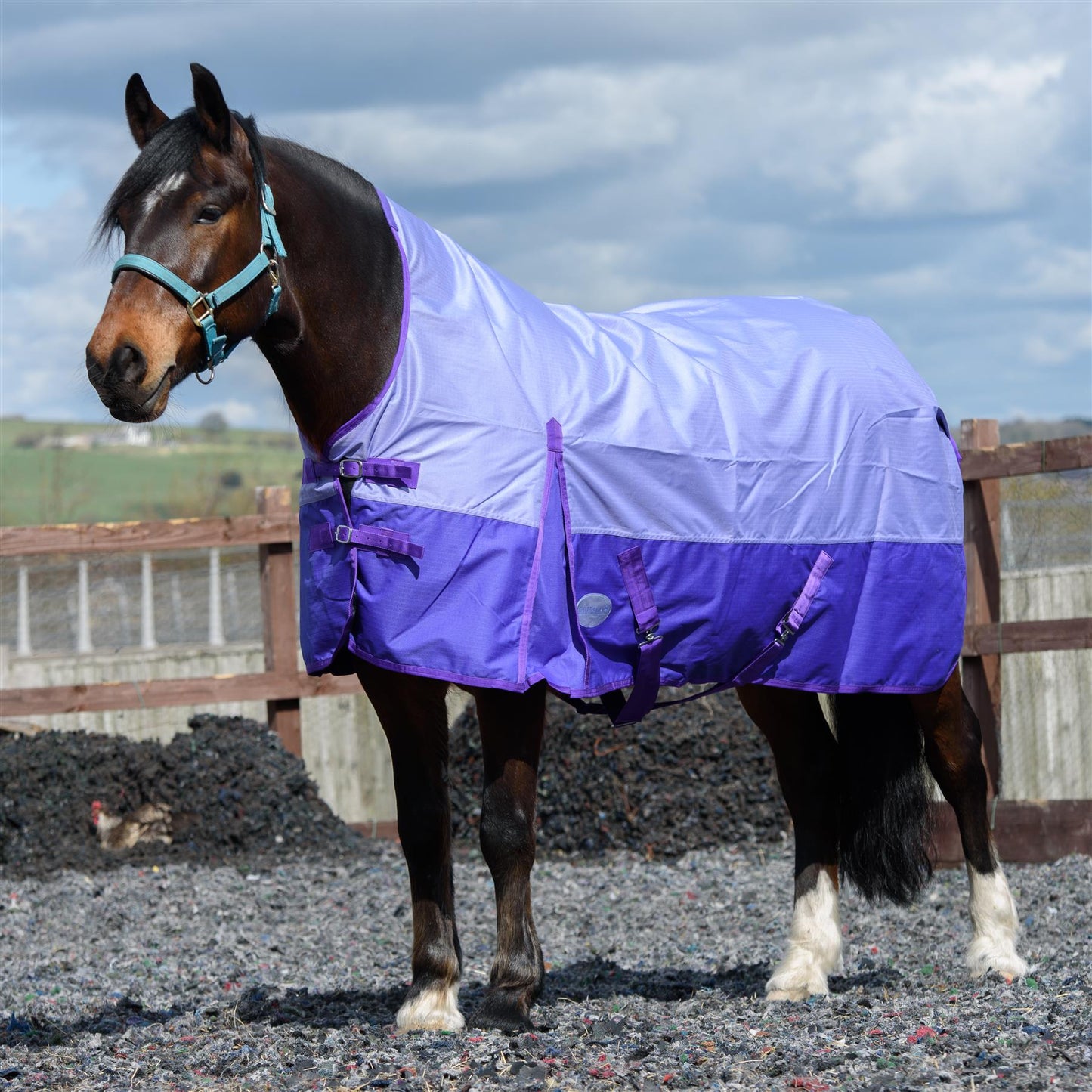600D Lightweight Waterproof Horse Turnout Rug 0g No Fill Half Neck Lavender/Purple
