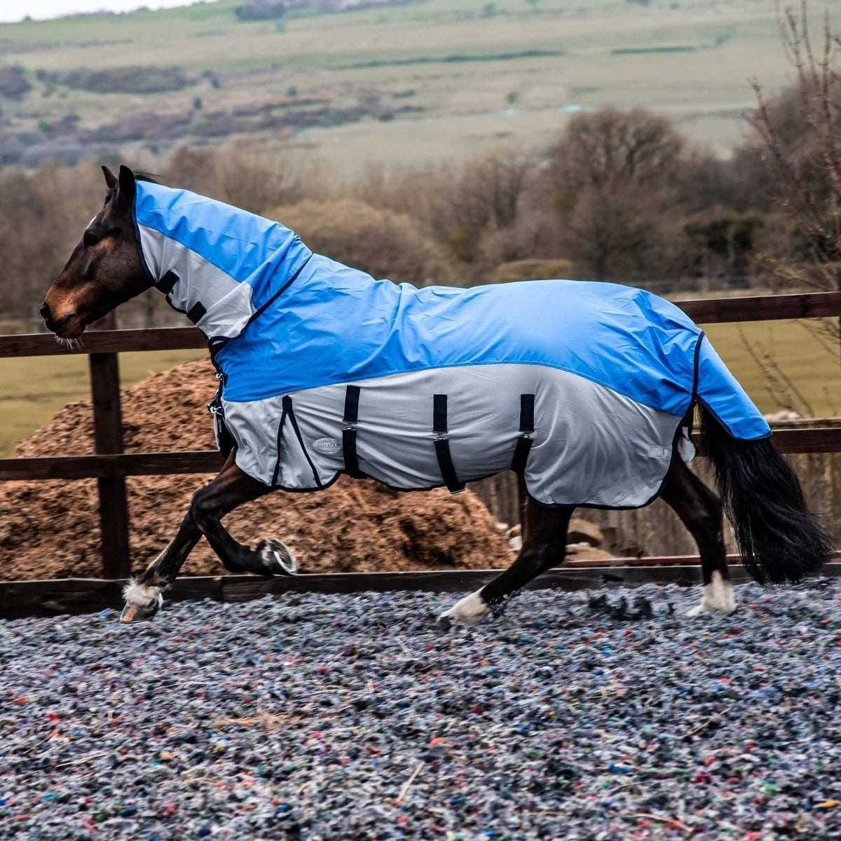 600D 2 in 1 Lightweight Waterproof Fly Turnout Mesh Horse Rug Fixed Neck Blue/Grey