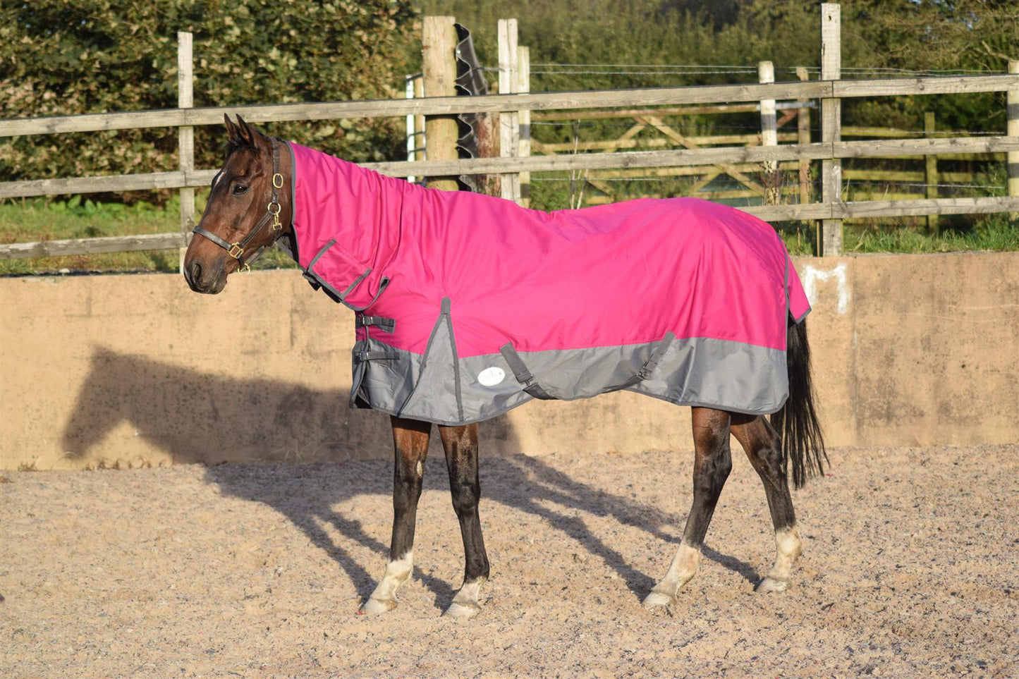 600D Mediumweight Waterproof Horse Turnout Rug 100g Fill Combo Full Neck Raspberry/Grey