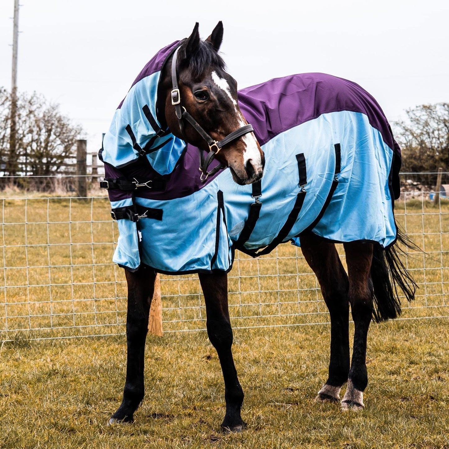 600D 2 in 1 Lightweight Waterproof Fly Turnout Mesh Horse Rug Fixed Neck Burgundy/Blue