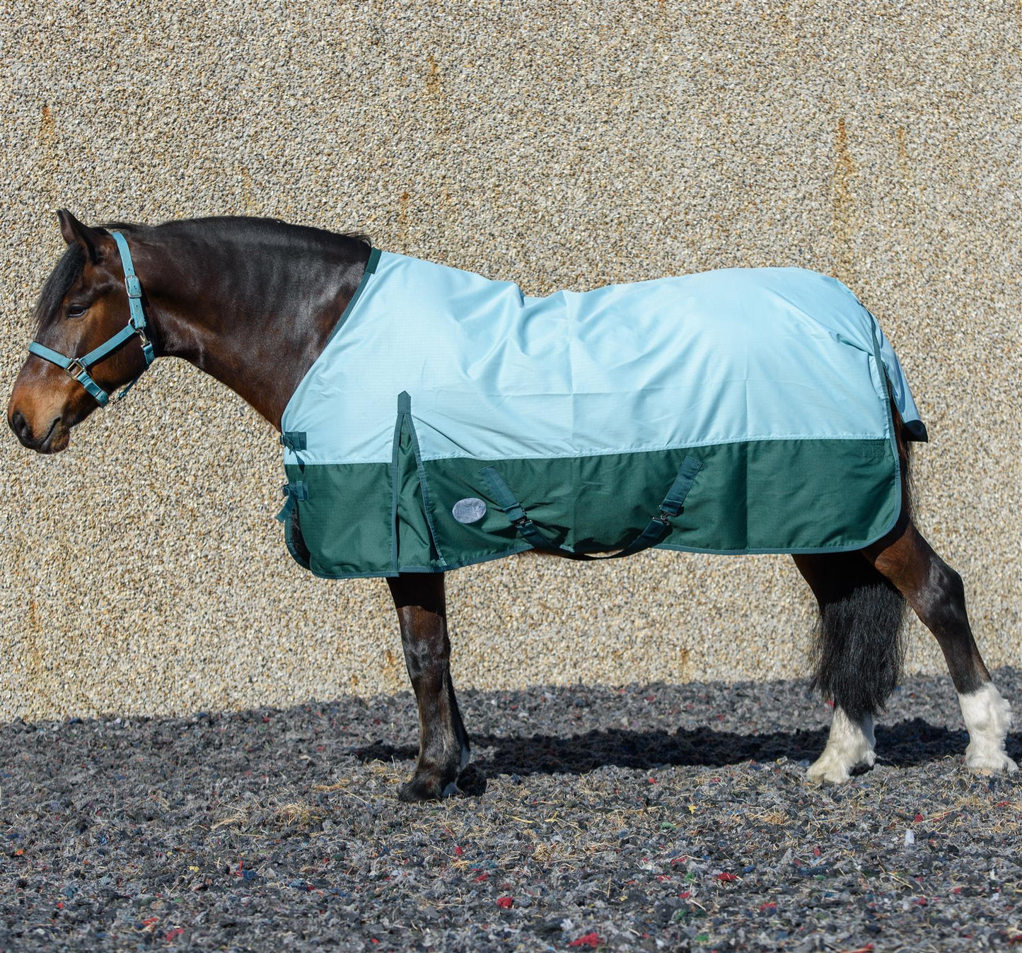 600D Lightweight Waterproof Horse Turnout Rug 0g No Fill Regular Neck Pista Aqua/Bottle Green
