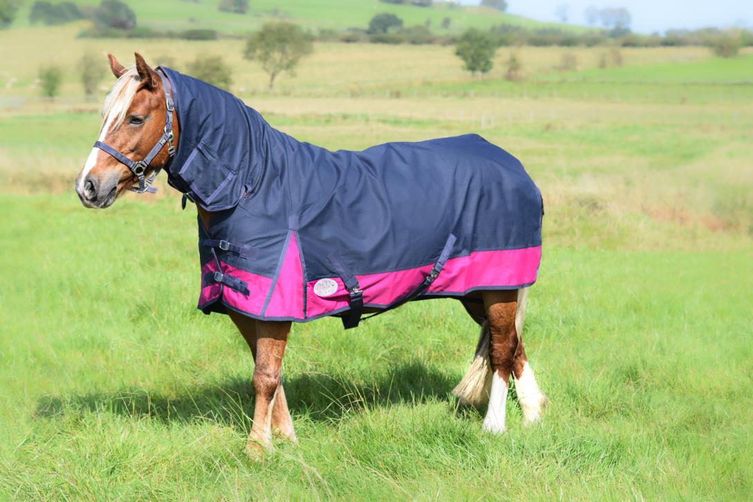 600D Mediumweight Waterproof Horse Turnout Rug 100g Fill Combo Full Neck Navy/Raspberry
