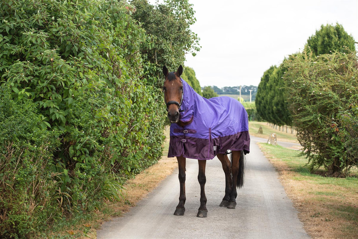600D Mediumweight Waterproof Horse Turnout Rug 100g Fill Combo Full Neck Purple/Plum