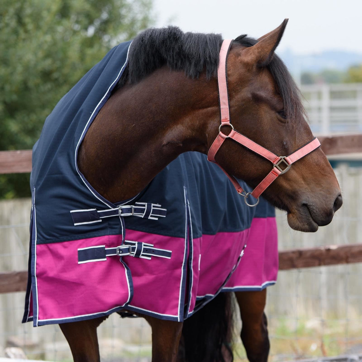 1200D Leichte wasserdichte Outdoor-Pferdedecke 0g ohne Füllung Half Neck Navy/Himbeere