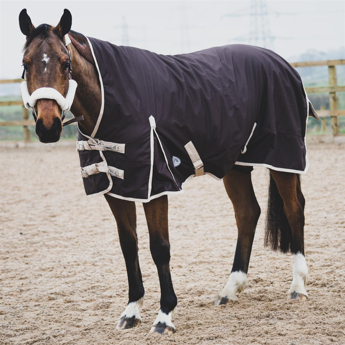600D Mediumweight Waterproof Horse Turnout Rug 100g Fill Half Neck Brown