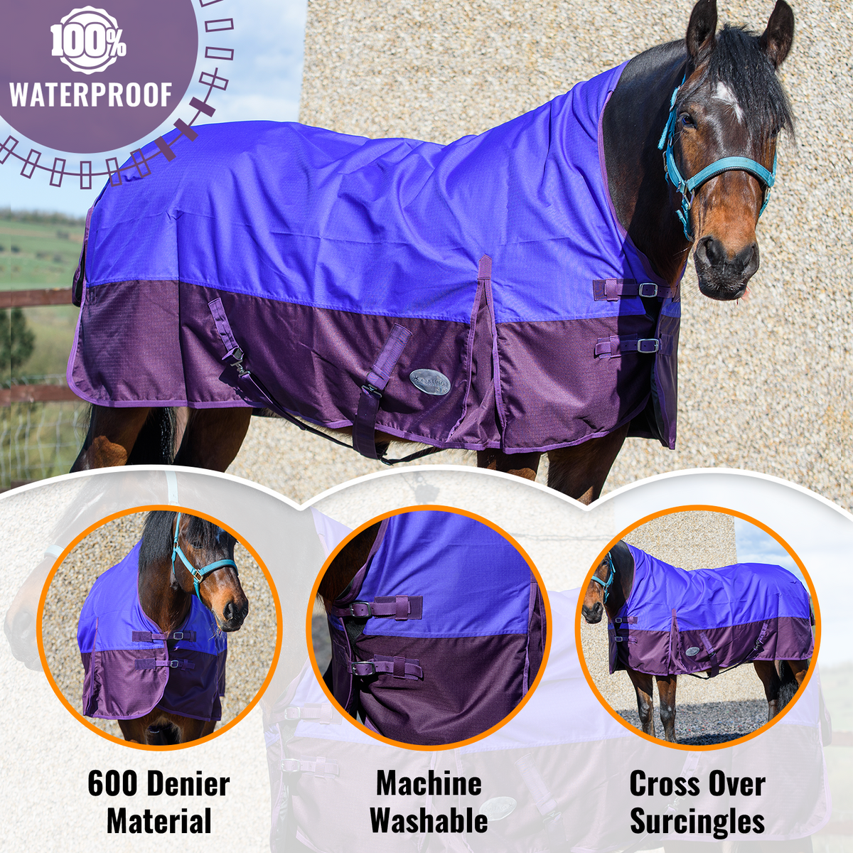 600D Lightweight Waterproof Horse Turnout Rug 0g No Fill Half Neck Purple/Plum