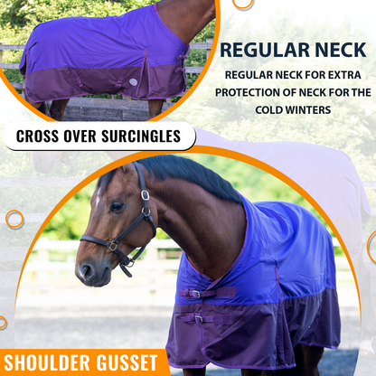 600D Lightweight Waterproof Horse Turnout Rug 0g No Fill Regular Neck Purple/Plum