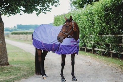 600D Mediumweight Waterproof Horse Turnout Rug 50g Fill Regular Neck Lavender/Purple