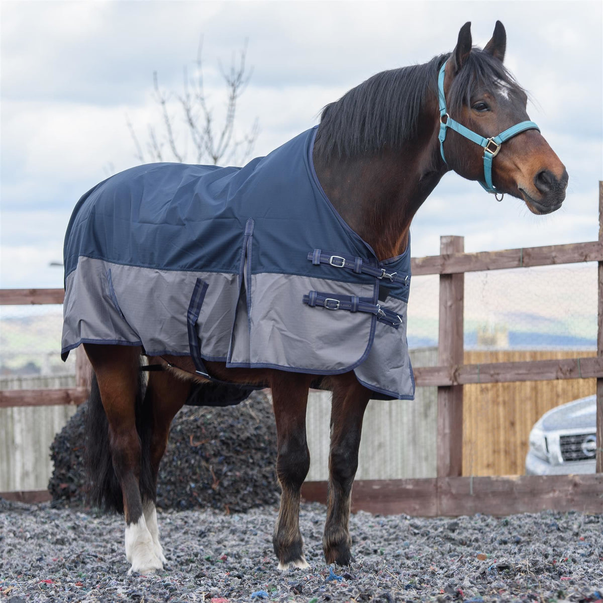 600D Mediumweight Wasserdichte Pferde-Outdoordecke 100g Füllung Standardhals Navy/Grau