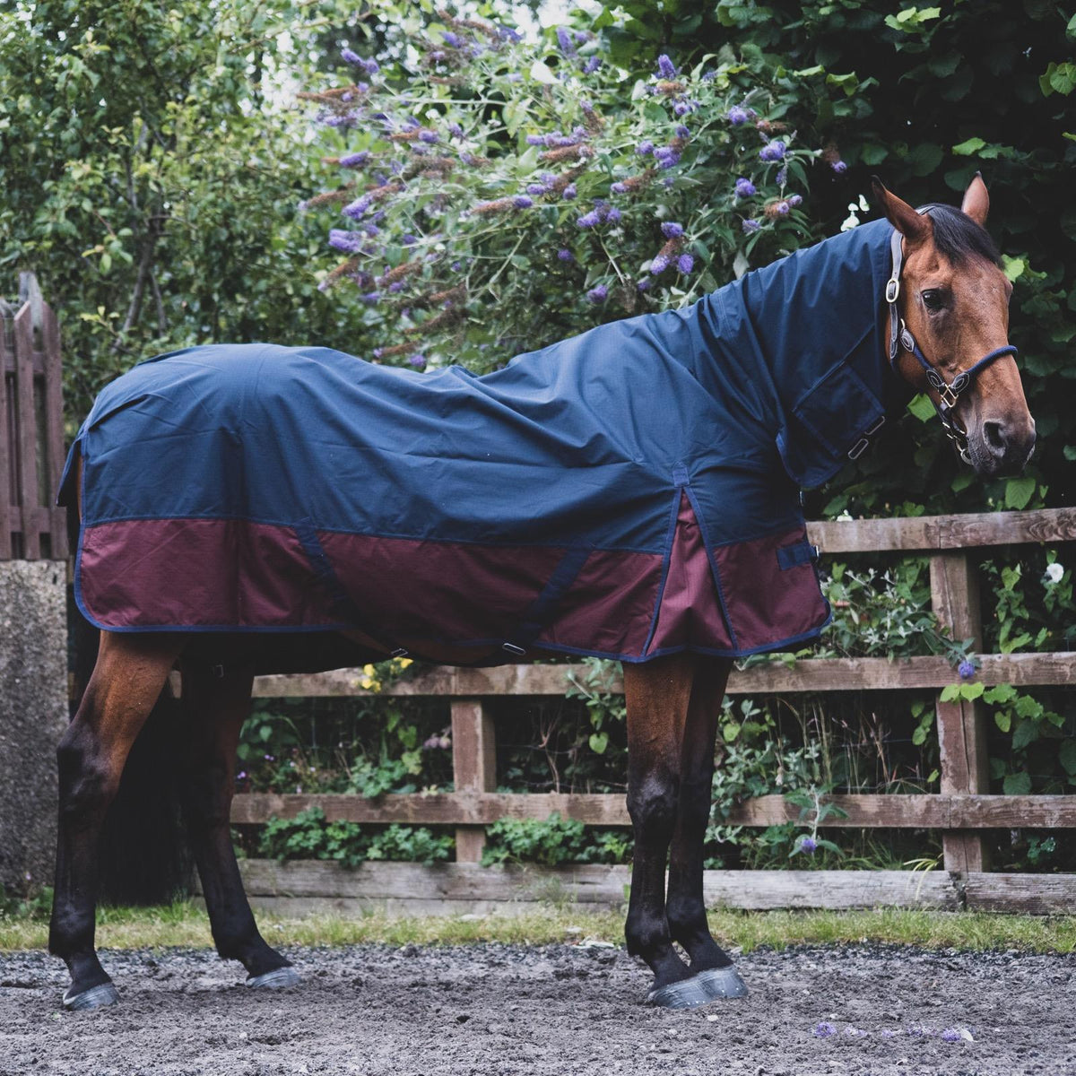 600D Lightweight Waterproof Horse Turnout Rug 0g No Fill Combo Full Neck Navy/Burgundy