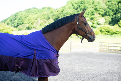 600D Lightweight Waterproof Horse Turnout Rug 0g No Fill Regular Neck Purple/Plum