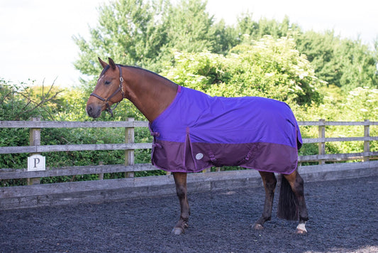 600D Mediumweight Waterproof Horse Turnout Rug 100g Fill Standard Neck Purple/Plum