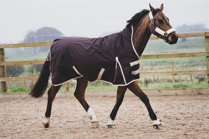 600D Mediumweight Waterproof Horse Turnout Rug 100g Fill Half Neck Brown