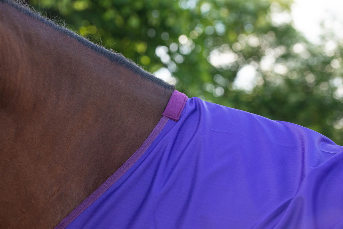 600D Lightweight Waterproof Horse Turnout Rug 0g No Fill Regular Neck Purple/Plum