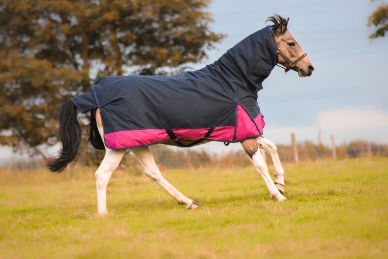 600D Mediumweight Waterproof Horse Turnout Rug 100g Fill Combo Full Neck Navy/Raspberry