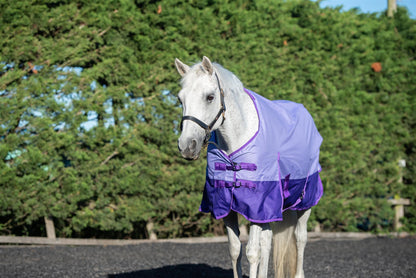 600D Lightweight Waterproof Horse Turnout Rug 0g No Fill Regular Neck Lavender/Purple