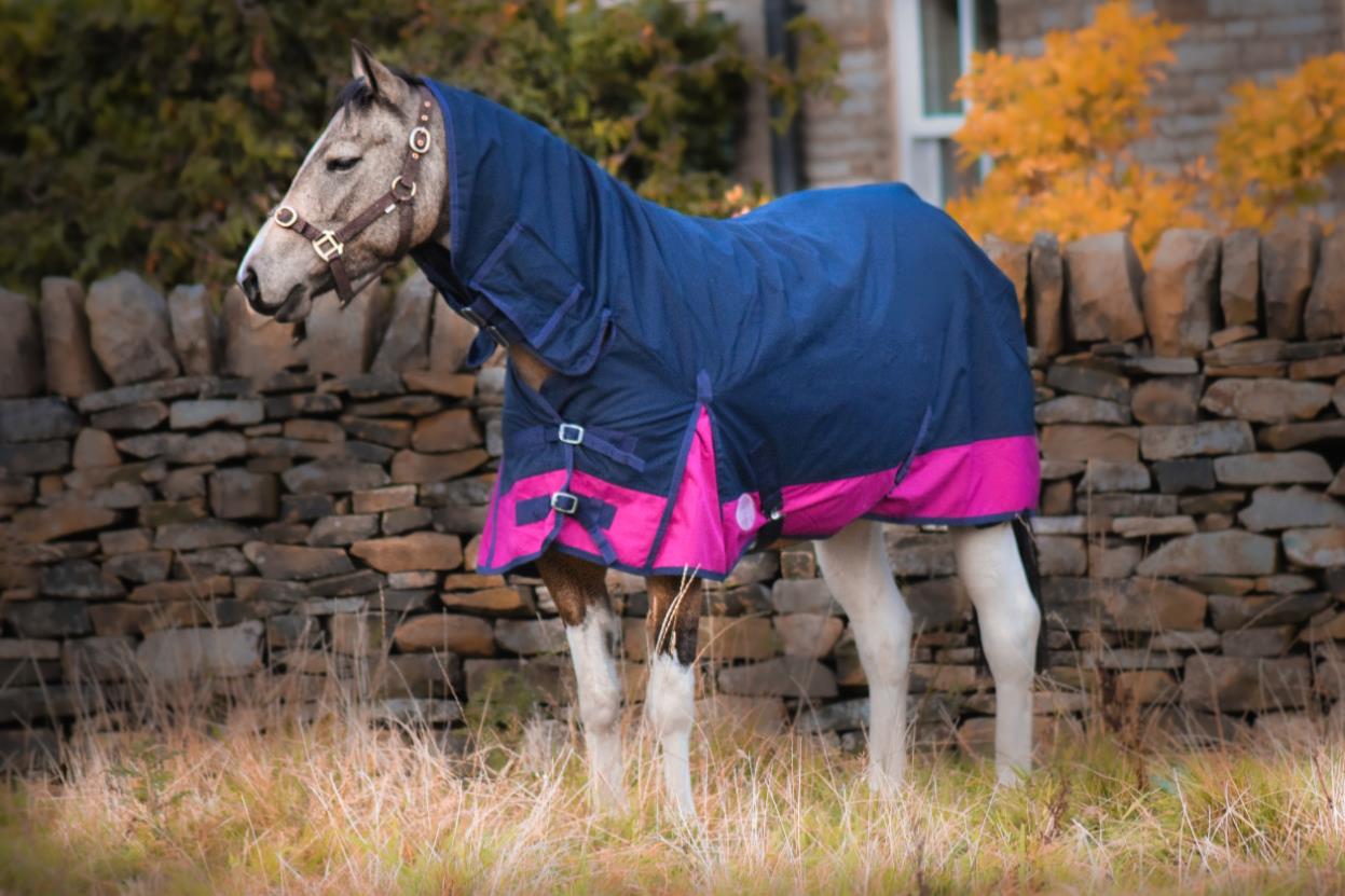 600D Mediumweight Waterproof Horse Turnout Rug 100g Fill Combo Full Neck Navy/Raspberry