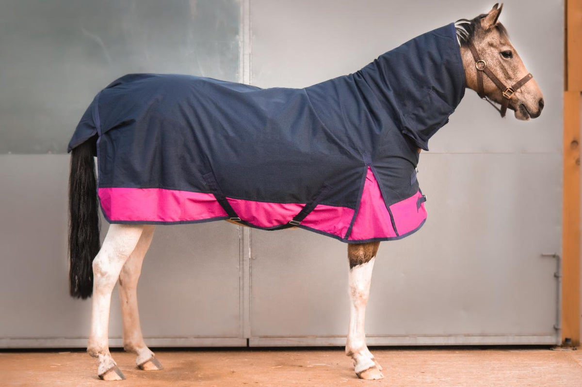 600D Mediumweight Waterproof Horse Turnout Rug 100g Fill Combo Full Neck Navy/Raspberry