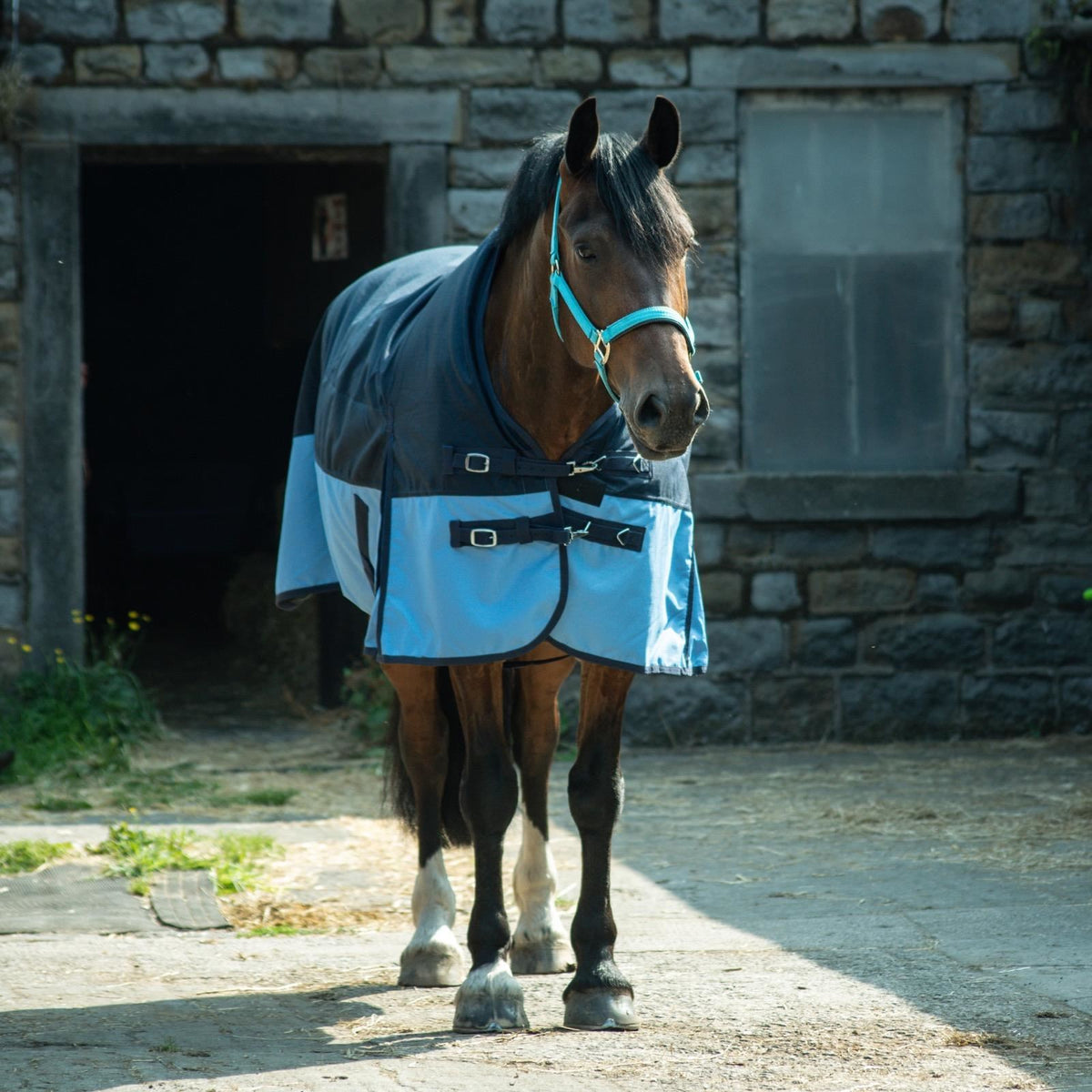 600D Leichte wasserdichte Pferde-Outdoordecke, 0g ohne Füllung, Half Neck, Navy/Babyblau