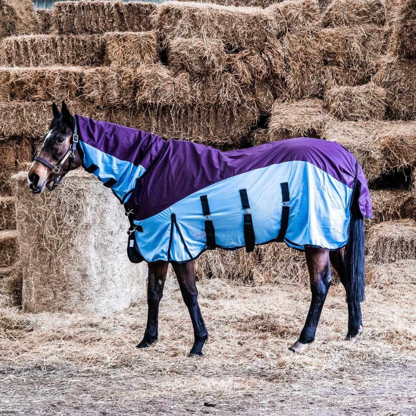 600D 2 in 1 Lightweight Waterproof Fly Turnout Mesh Horse Rug Fixed Neck Burgundy/Blue