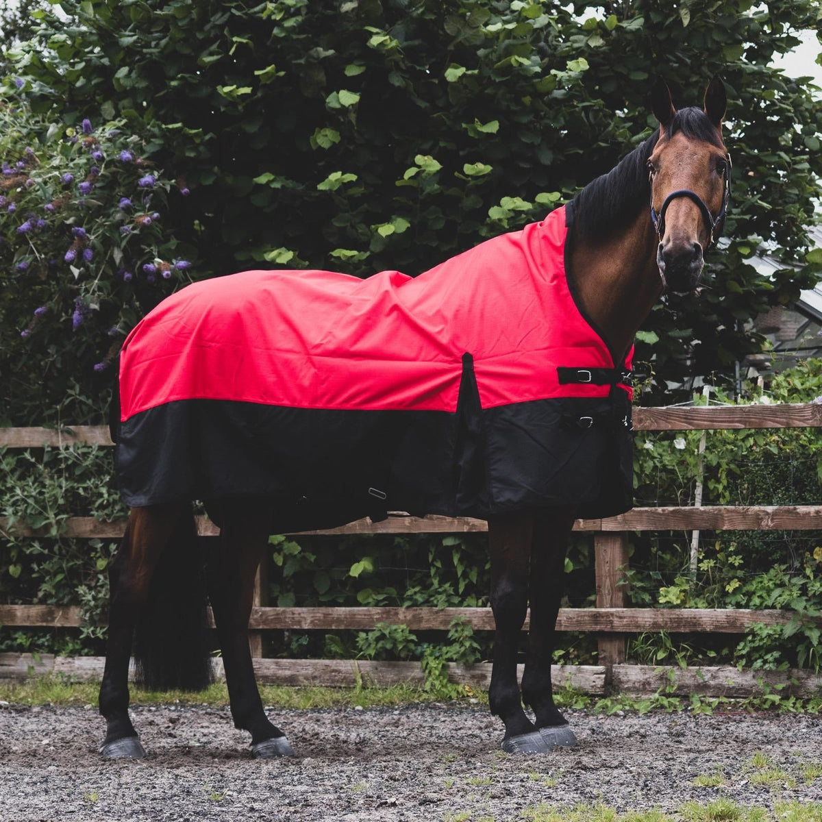 1200D Mediumweight Wasserdichte Pferde-Outdoordecke 100g Füllung Halber Hals Rot/Schwarz