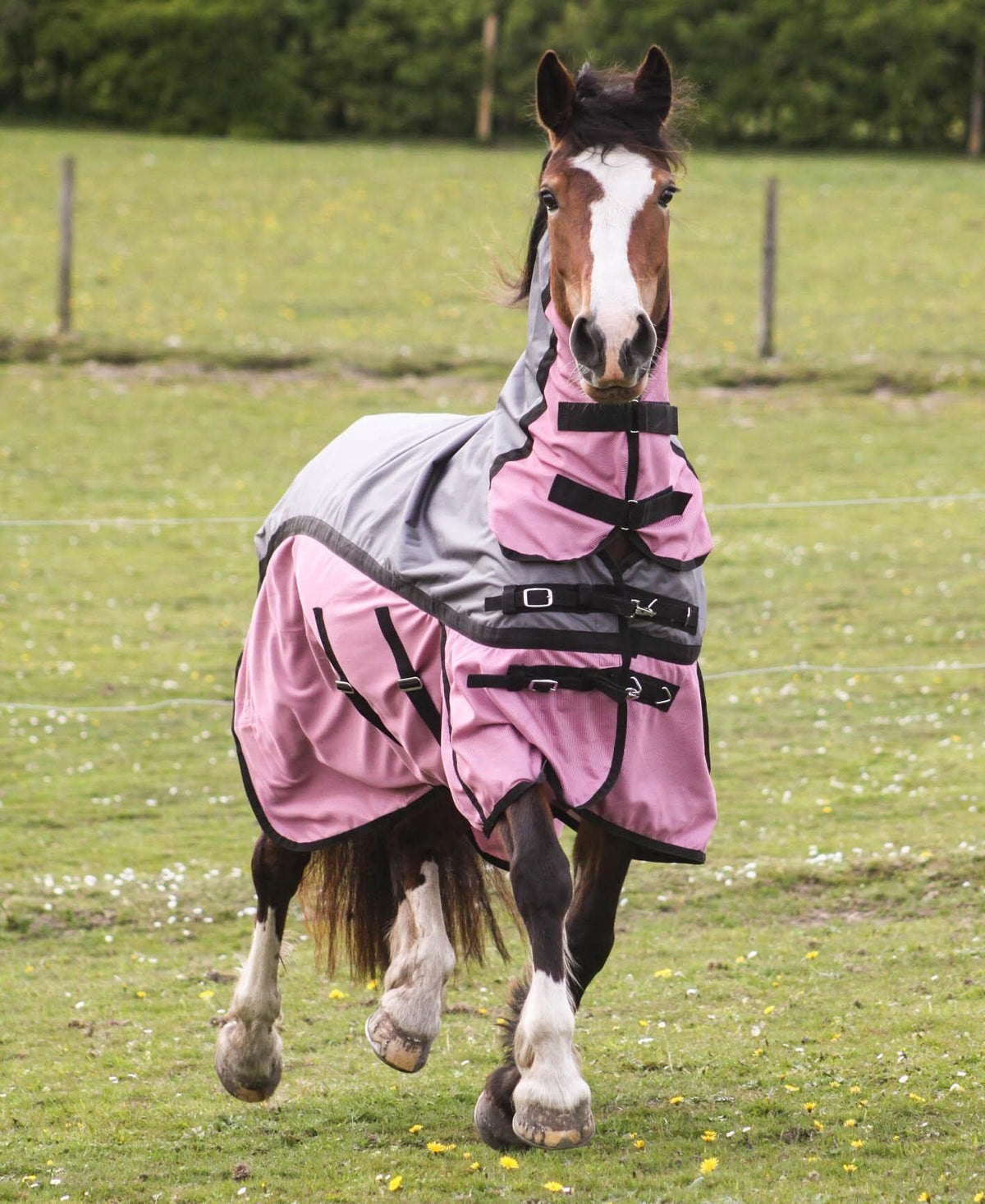 600D 2 in 1 Lightweight Waterproof Fly Turnout Mesh Horse Rug Fixed Neck Grey/Raspberry
