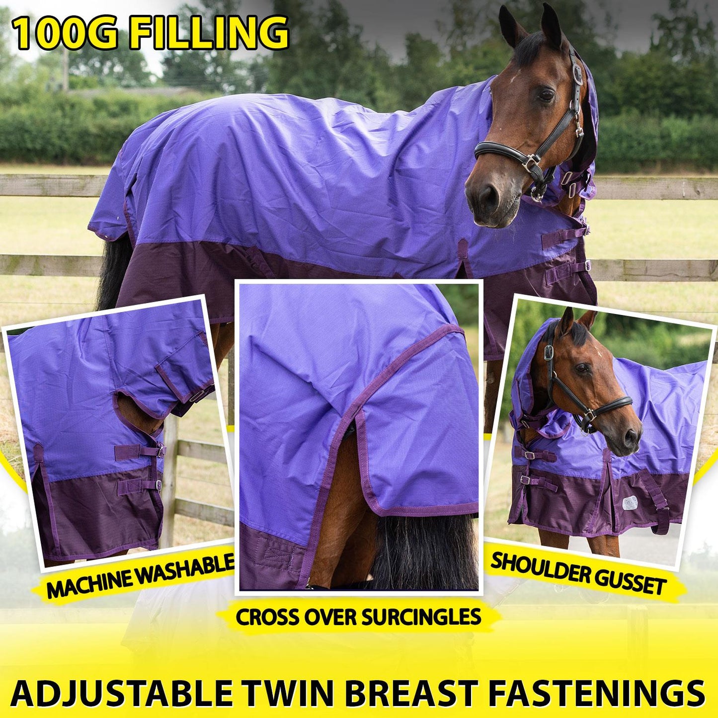 600D Mediumweight Waterproof Horse Turnout Rug 100g Fill Combo Full Neck Purple/Plum