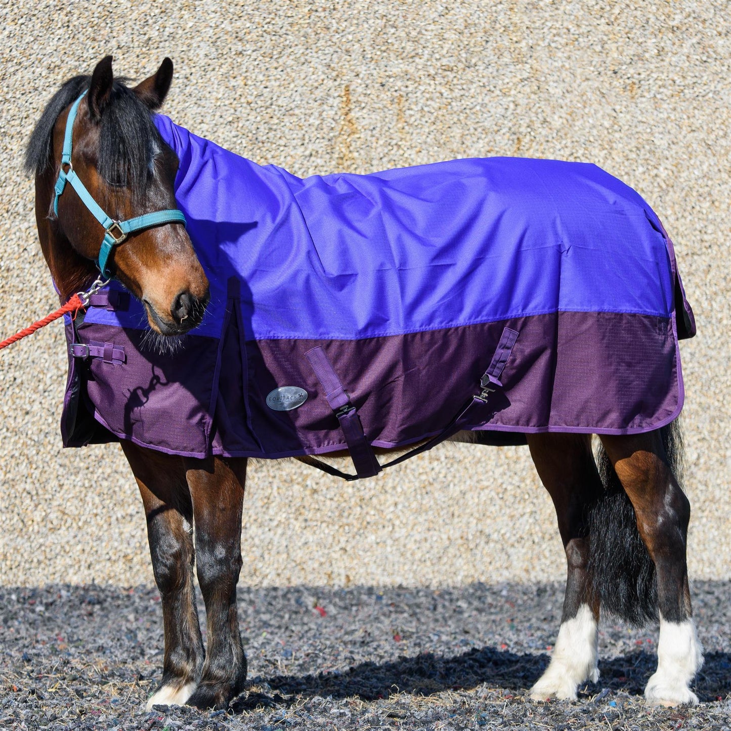 600D Lightweight Waterproof Horse Turnout Rug 0g No Fill Half Neck Purple/Plum