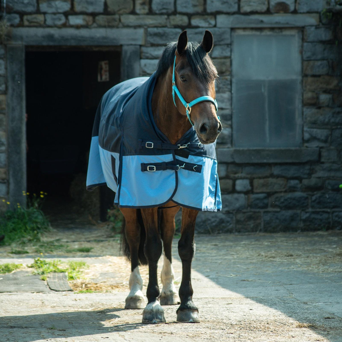 600D Lightweight Waterproof Horse Turnout Rug 0g No Fill Half Neck Navy/Baby Blue