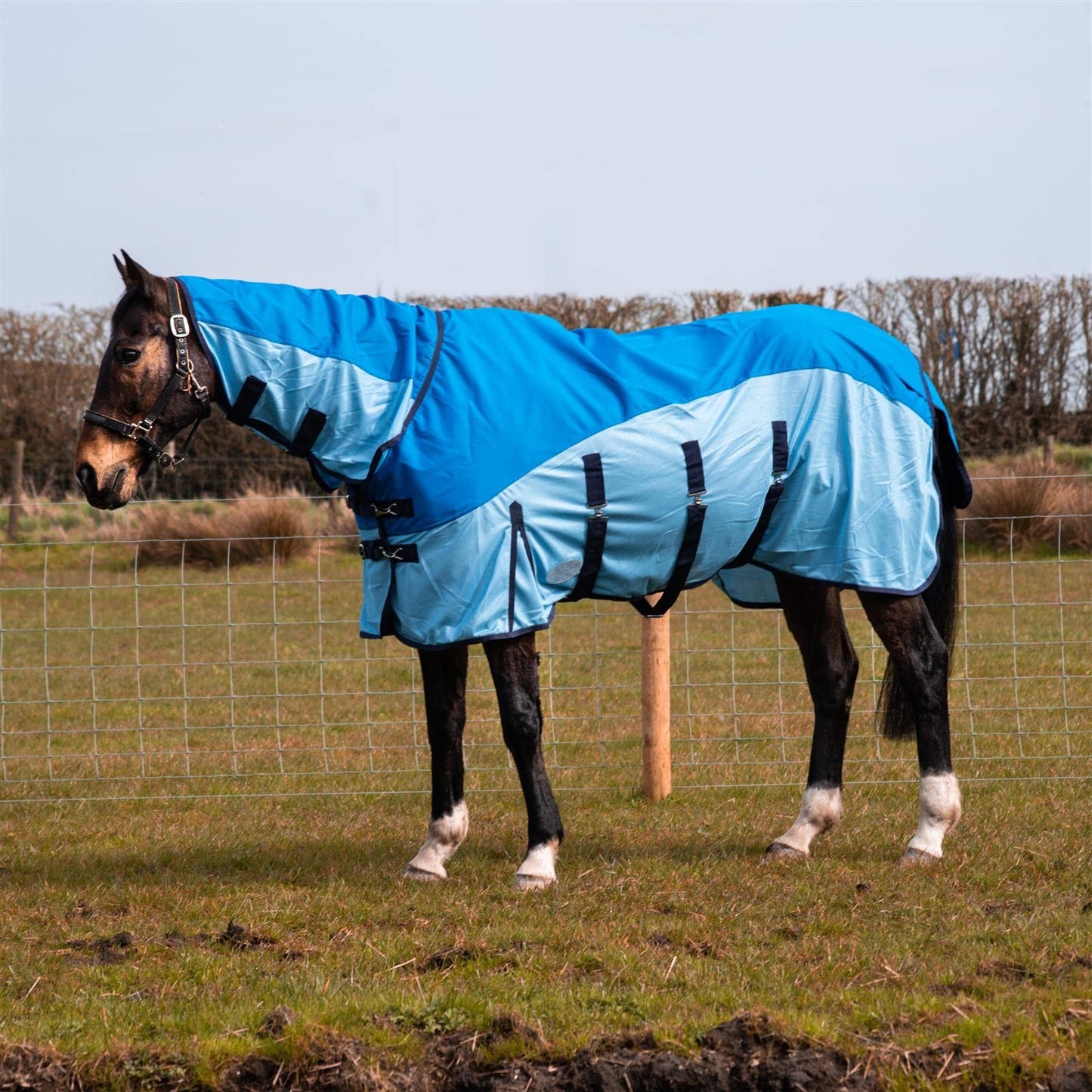 600D 2 in 1 Lightweight Waterproof Fly Turnout Mesh Horse Rug Fixed Neck Blue/Light Blue