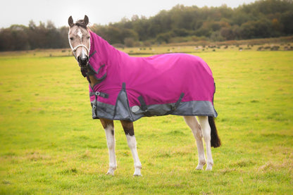 600D Lightweight Waterproof Horse Turnout Rug 0g No Fill Combo Full Neck Raspberry/Dark Grey