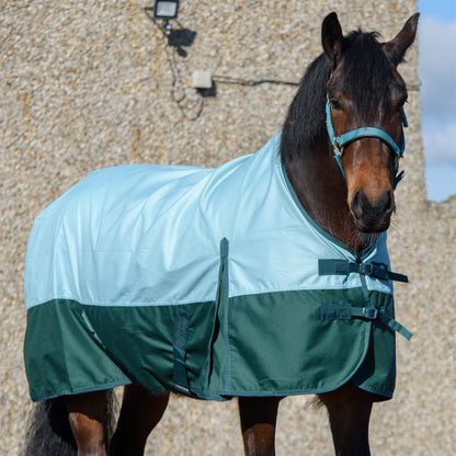 600D Lightweight Waterproof Horse Turnout Rug 0g No Fill Regular Neck Pista Aqua/Bottle Green