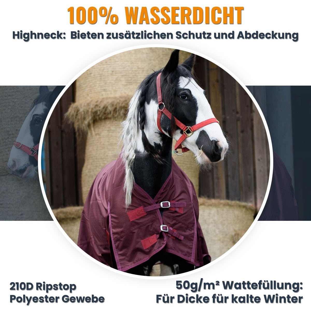 600D mitteldichte wasserdichte Pferde-Outdoordecke 50g Füllung Halber Hals Burgundy