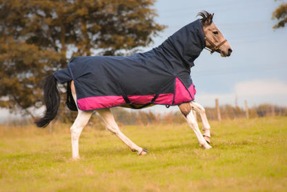 1200D Mediumweight Waterproof Horse Turnout Rug 50g Fill Combo Full Neck Navy/Raspberry