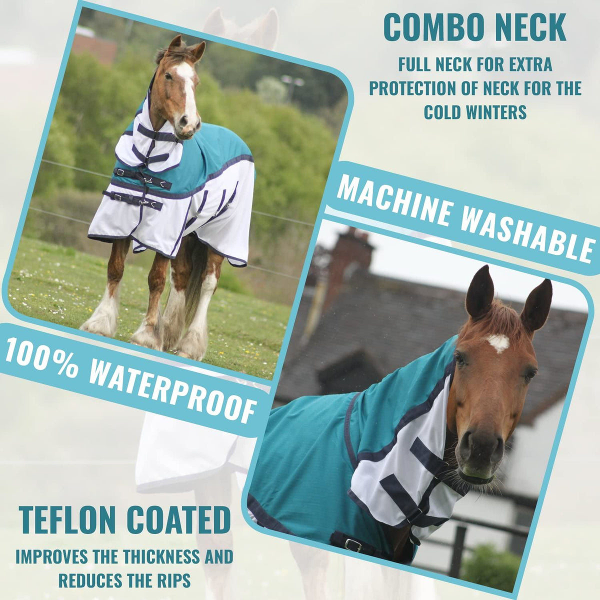 600D 2 in 1 Lightweight Waterproof Fly Turnout Mesh Horse Rug Fixed Neck Petrol/White