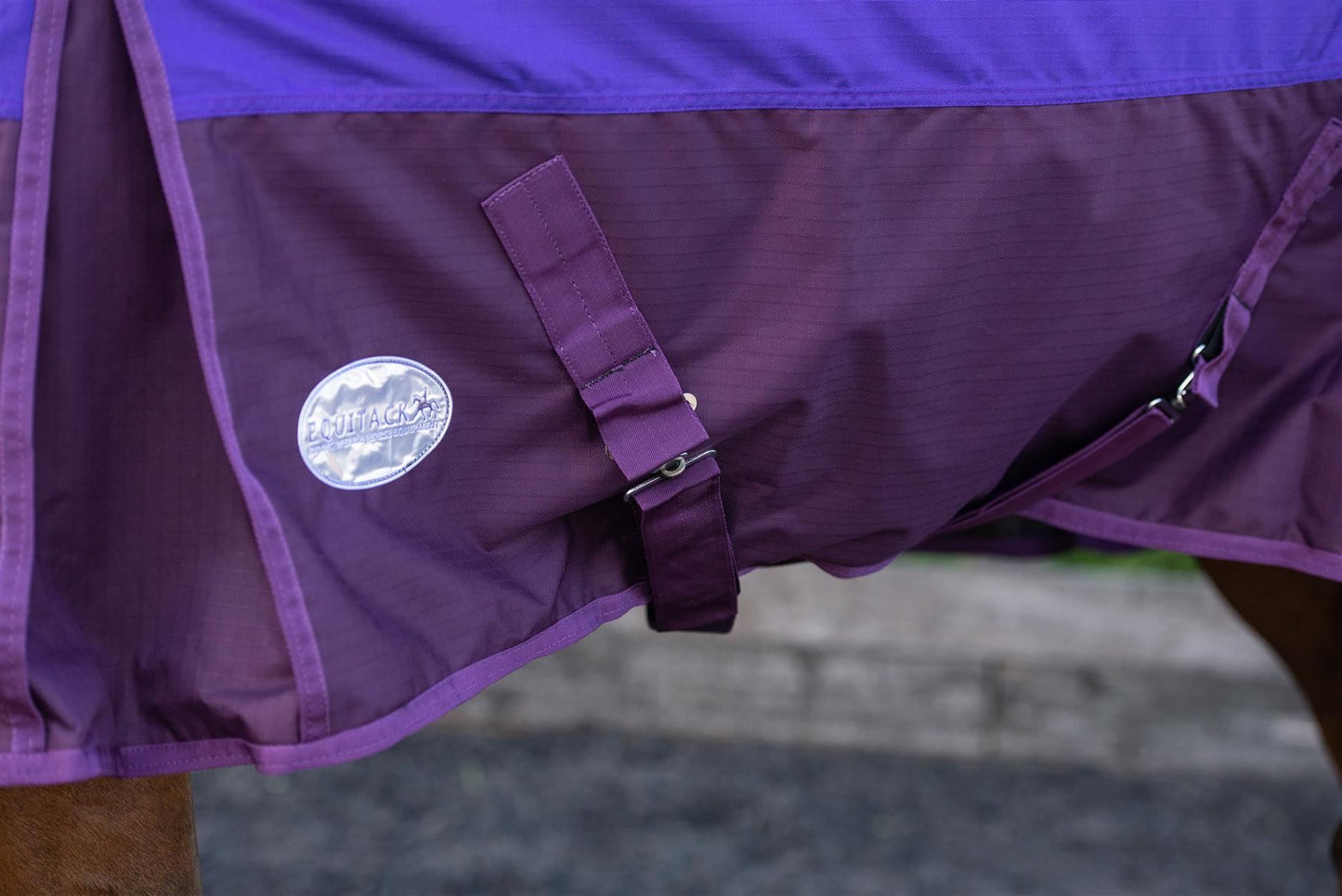 600D Mediumweight Waterproof Horse Turnout Rug 100g Fill Standard Neck Purple/Plum