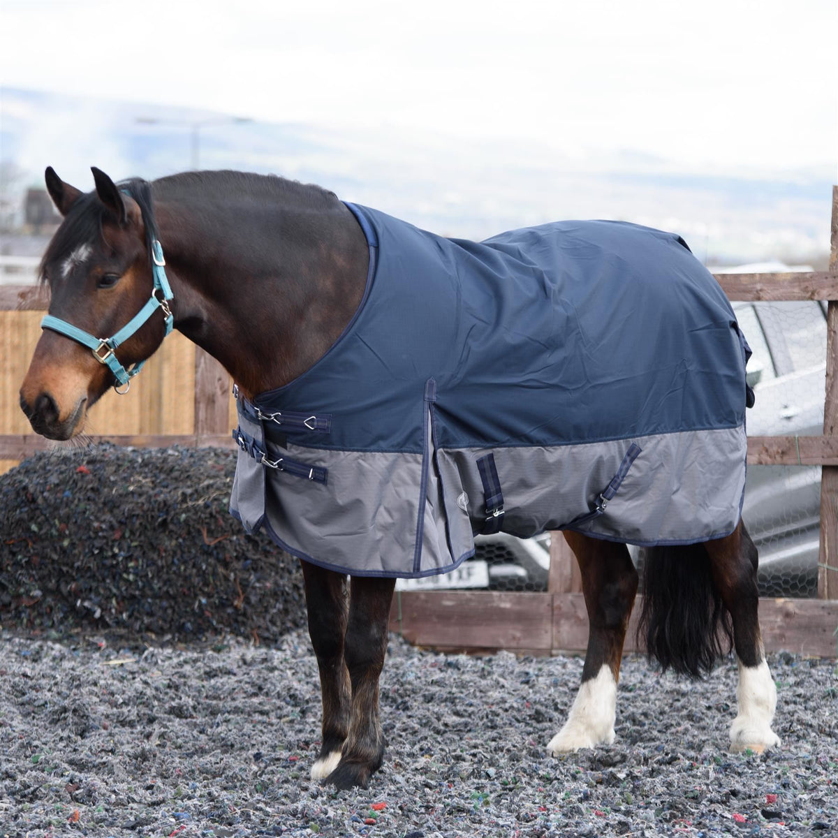 600D Mediumweight Wasserdichte Pferde-Outdoordecke 100g Füllung Standardhals Navy/Grau