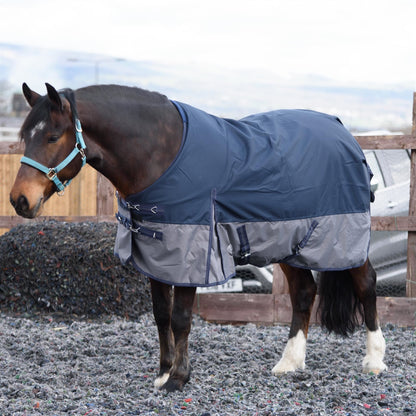 600D Mediumweight Wasserdichte Pferde-Outdoordecke 100g Füllung Standardhals Navy/Grau