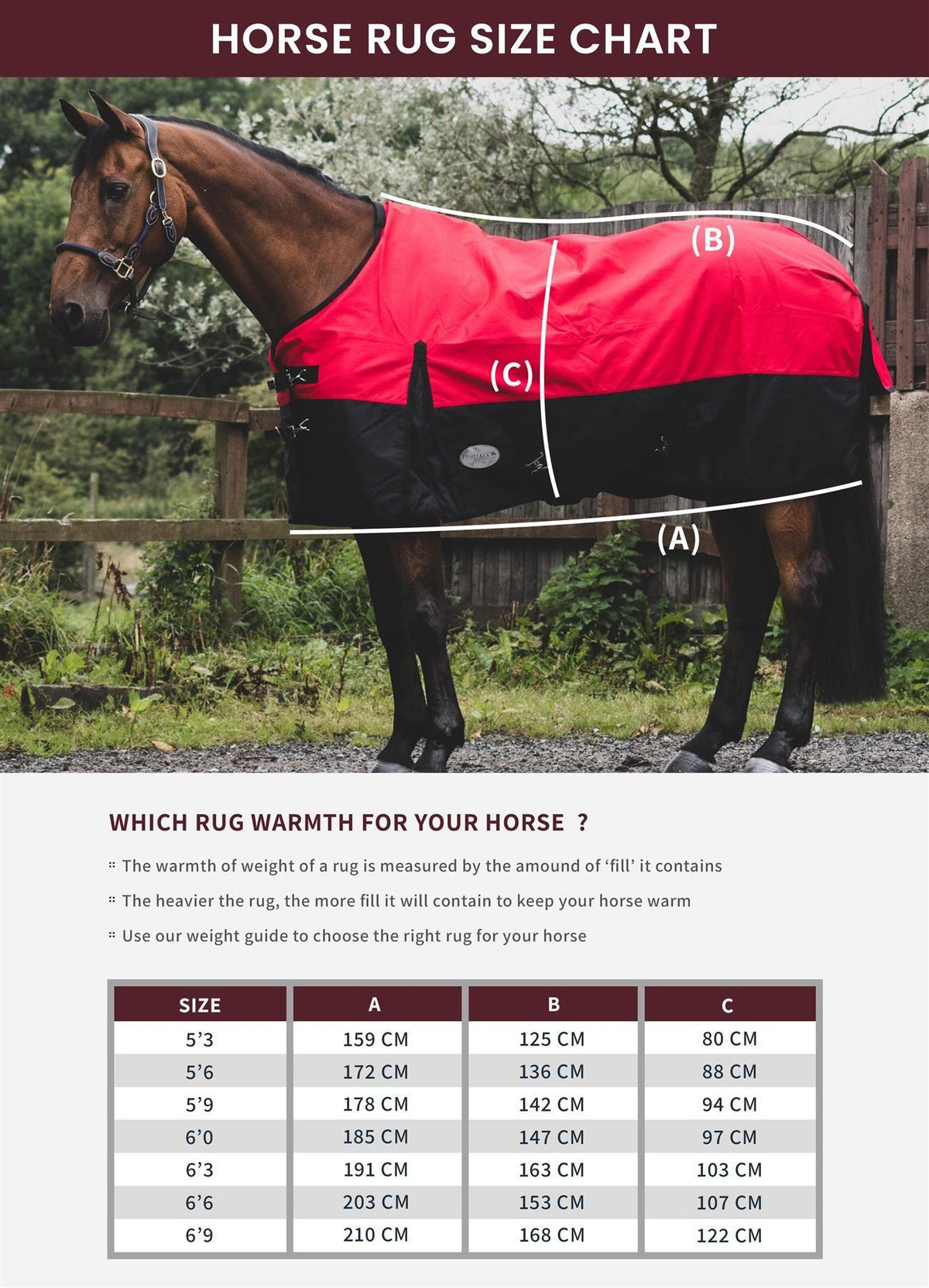 600D Lightweight Waterproof Horse Turnout Rug 0g No Fill Regular Neck Pista Aqua/Bottle Green