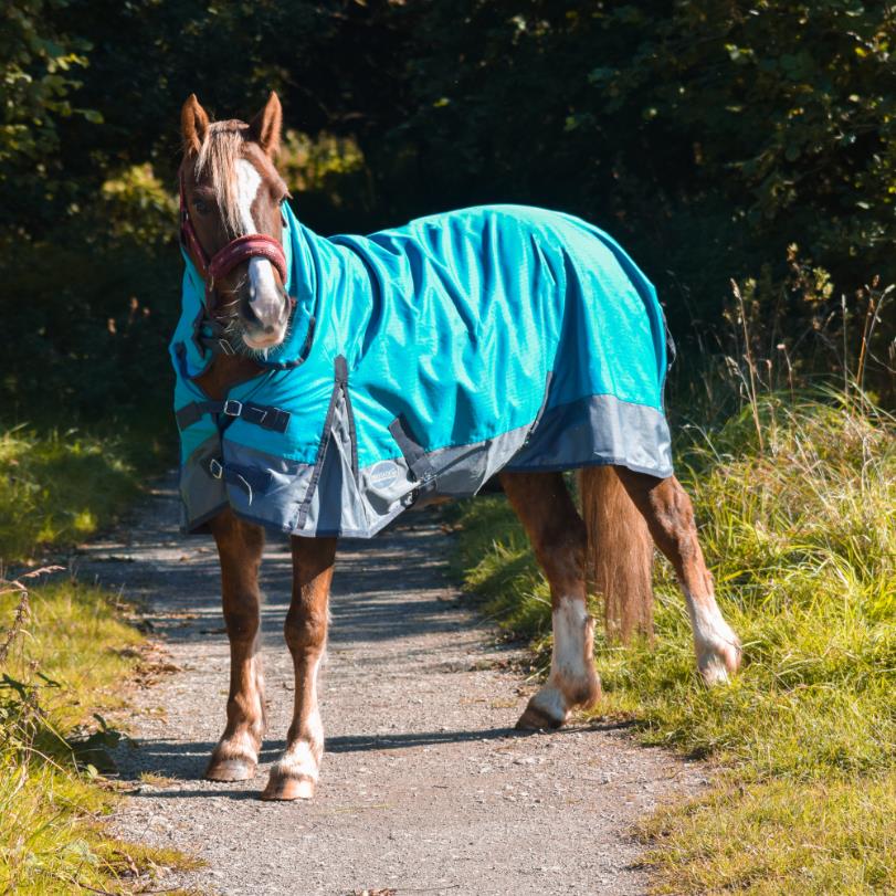 600D Lightweight Turnout Horse Rug Water Resistant Combo Neck Aqua/Grey 5'3-6'9