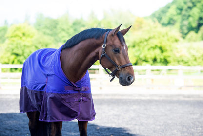 600D Lightweight Waterproof Horse Turnout Rug 0g No Fill Regular Neck Purple/Plum